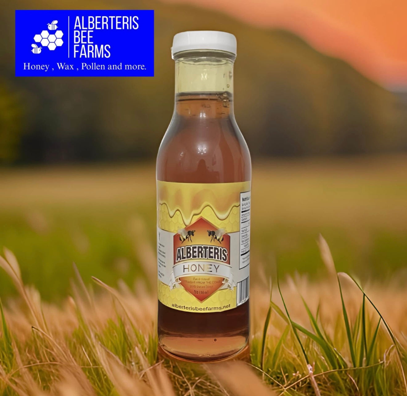 1 lb 12 bottles - full box - Natural Honey