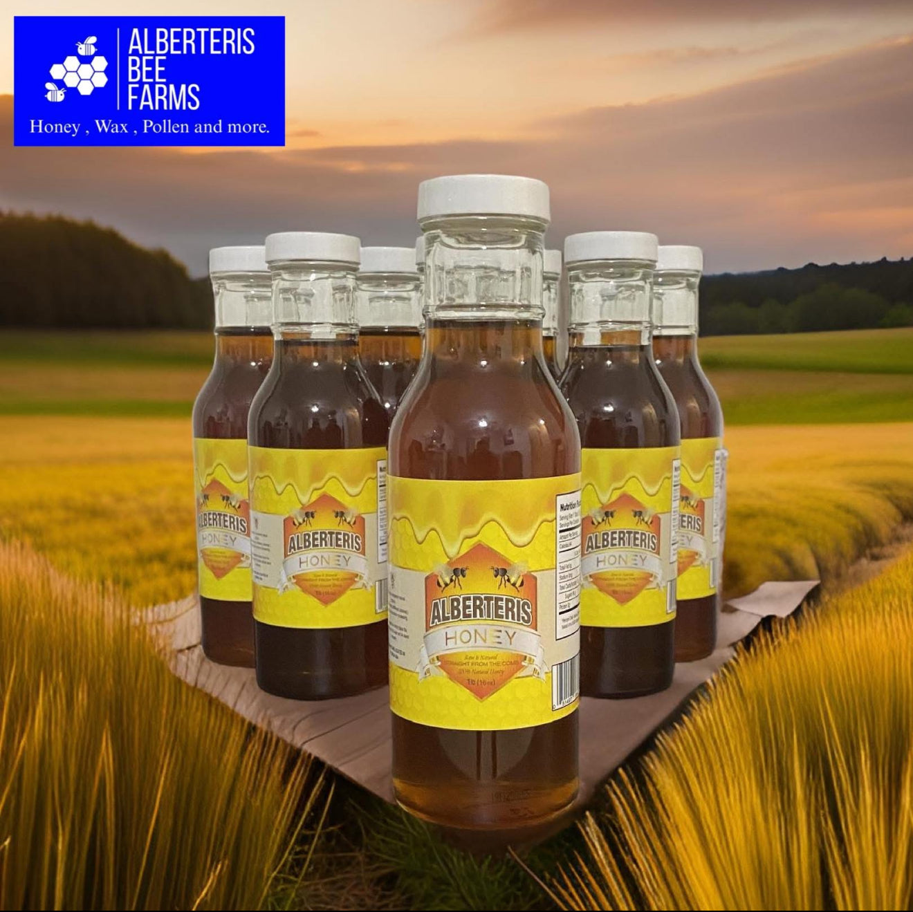 1 lb 12 bottles - full box - Natural Honey